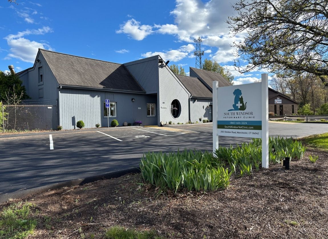South Windsor Veterinary Clinic Building